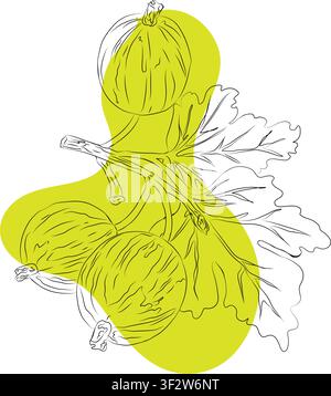 Vector outilne Gooseberry isolated. Vector cartoon illustration. Flat icon of a fruit branch. Gooseberries flat illustration. Stylized collection Stock Vector