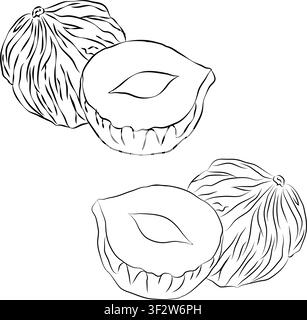 vector design set, Hand-painting design set, EPS format, Sketch Vector hazelnut slices line art, outline drawing for hazelnut drawing Stock Vector
