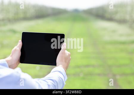 Unrecognizable Person Holding Tablet In Field Of Green Grass, Outdoor Technology Concept Stock Photo