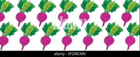 Seamless beetroot line art, hand painting set, EPS format, Vector beetroot isolated. Vector cartoon illustration. Flat icon of a vegetable branch. Stock Vector