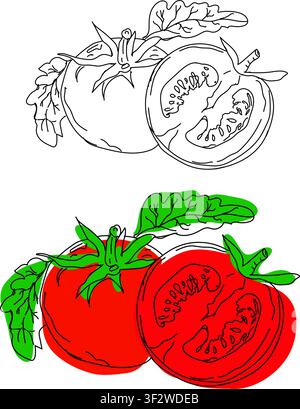 Stylized collection of flat vector elements in green colors, outline drawing for Tomatoes, design, red Tomato line art, hand painting set, EPS format, Stock Vector
