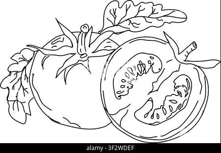 Doodle hand-drawn icon set, outline drawing of tomato slices, outline drawing of slices of tomato, vector design, vector tomato line art, hand-paint Stock Vector