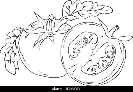 Doodle hand-drawn icon set, outline drawing of tomato slices, outline drawing of slices of tomato, vector design, vector tomato line art, hand-paint Stock Vector