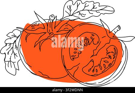 Doodle hand-drawn icon set, outline drawing of tomato slices, outline drawing of slices of tomato, vector design, vector tomato line art, hand-paint Stock Vector