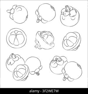 Hand-drawn outline of a mangosteen. white doodle style. Vector drawing Illustration Hand-drawn ink sketch of Mangosteen Fruit, Half Peeled, whole Stock Vector