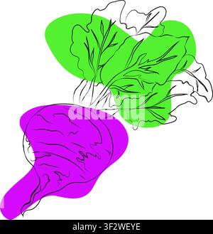 Abstract Beetroot line art, hand-painting set, EPS format, Vector beetroot isolated. Vector cartoon illustration. Flat icon of a vegetable branch. Stock Vector