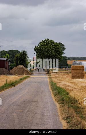 Two people jogging on a rural dirt road through agricultural fields in Coesfeld, Germany Stock Photo