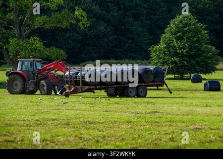 Tractor using front loaders to lift & stack bale on flatbed (countryside farmland pasture, farming & agricultural activity) - Yorkshire, England, UK. Stock Photo