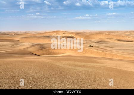 Vast golden sand dunes ripple across the arid Namib Desert near Swakopmund, Namibia, beneath a bright blue sky with light clouds. Stock Photo
