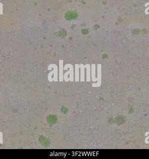 An overhead view of sparse green grass tufts growing in dry, sandy soil with small gravel stones. Stock Photo
