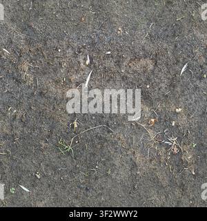 A high-angle view of dry, dark grey sandy soil with scattered twigs and small organic debris. Stock Photo