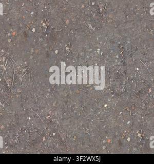 A close-up view of wet, muddy forest ground scattered with small twigs and pebbles. Stock Photo