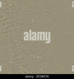 High-resolution close-up of wet beach sand with soft ripple textures formed by the tide. Stock Photo