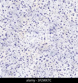 A close-up shot of a white terrazzo surface with vibrant blue stone fragments embedded throughout. Stock Photo