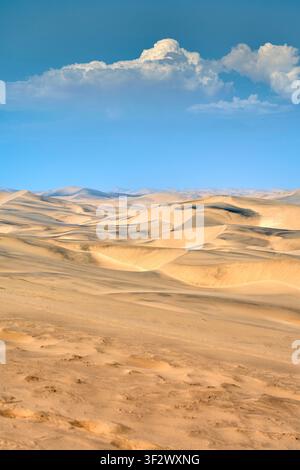 Rolling golden sand dunes stretch across the arid Namib Desert landscape under a vibrant blue sky with fluffy white clouds in Namibia. Stock Photo
