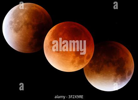 Sequence showing the progression of the total lunar eclipse on September 28, 2015. From right to left: beginning of totality, maximum of the phenomeno Stock Photo