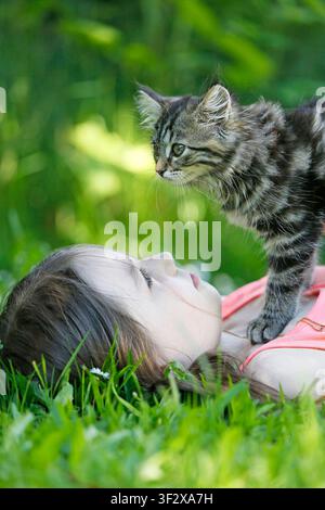A 9-year-old girl lying in the grass, holding her Norwegian Forest kitten (female) who is 10 weeks old. Stock Photo