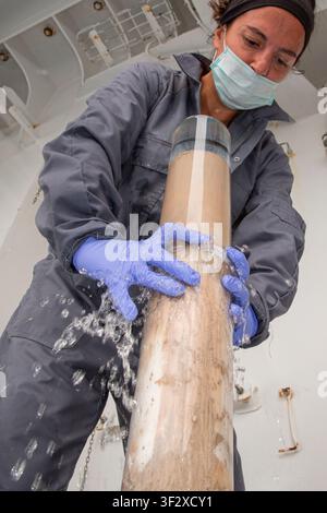 Daniela Zeppilli A biologist with a doctorate in marine biology and ecology, she is also a researcher in benthic ecology and responsible for the Deep Stock Photo