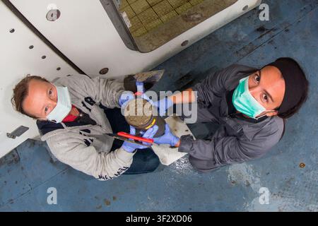 Daniela Zeppilli A biologist with a doctorate in marine biology and ecology, she is also a researcher in benthic ecology and responsible for the Deep Stock Photo