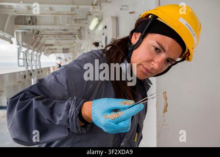 Daniela Zeppilli A biologist with a doctorate in marine biology and ecology, she is also a researcher in benthic ecology and responsible for the Deep Stock Photo