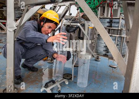 Daniela Zeppilli A biologist with a doctorate in marine biology and ecology, she is also a researcher in benthic ecology and responsible for the Deep Stock Photo