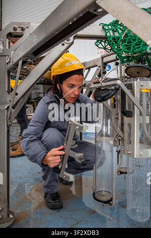 Daniela Zeppilli A biologist with a doctorate in marine biology and ecology, she is also a researcher in benthic ecology and responsible for the Deep Stock Photo