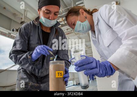 Daniela Zeppilli A biologist with a doctorate in marine biology and ecology, she is also a researcher in benthic ecology and responsible for the Deep Stock Photo