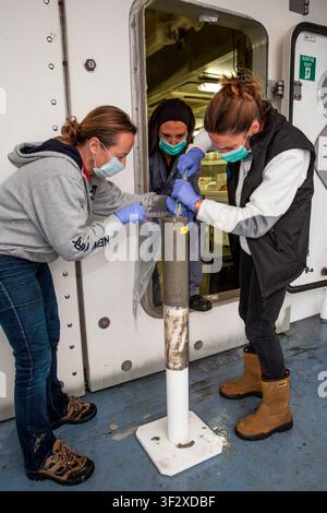 Daniela Zeppilli A biologist with a doctorate in marine biology and ecology, she is also a researcher in benthic ecology and responsible for the Deep Stock Photo