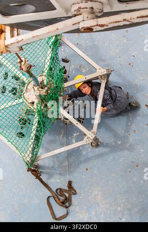 Daniela Zeppilli A biologist with a doctorate in marine biology and ecology, she is also a researcher in benthic ecology and responsible for the Deep Stock Photo