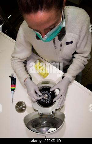 Julie Poulain Research Engineer in Molecular Biology at the Genoscope (CEA National Sequencing Centre), Julie Poulain participated in the Tara Oceans, Stock Photo