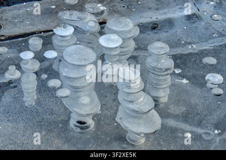 Methane bubbles trapped in the ice of a pond in Bugey. The methane produced by methanogenic bacteria in the sediment is trapped in the ice day after d Stock Photo