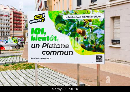 Large sign in an avenue informing "Here soon a Common Plane Tree Platanus hispanica," Metropolis Le Mans, Sarthe, France. Stock Photo