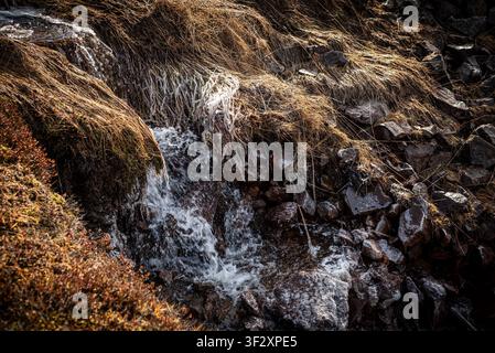 A clear mountain stream creates a small bubbling waterfall in Iceland. The water flows fast over dark volcanic stones, surrounded by patches of dry gr Stock Photo