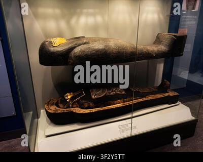 Liverpool, UK - May 16, 2026: Ancient Egyptian sarcophagus and wrapped mummy on display in a Liverpool museum glass case. Stock Photo