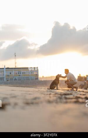 Man kneeling on sandy beach interacts with brown dog during sunset, with distant beach houses and clouds visible in the background. Airedale Terrier Stock Photo