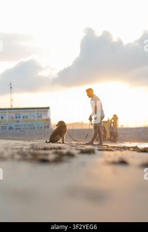 Man walking dog on sandy beach during sunset with soft light illuminating the scene and distant figures visible along the shoreline. Airedale Terrier Stock Photo