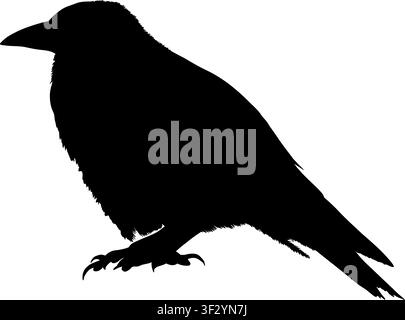 Raven bird sitting black hand drawn silhouette isolated on transparent background. Vector PNG Stock Vector