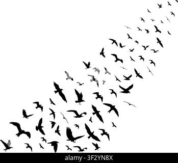 Flying birds wedge hand drawn black silhouettes isolated on transparent background. Flying birds concept. Vector PNG Stock Vector