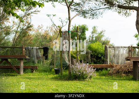 Green garden with lawn and trees. Grey fishing nets hung on wooden frames and poles to dry, with orange floats. Flowering lavender bush in the center. Stock Photo