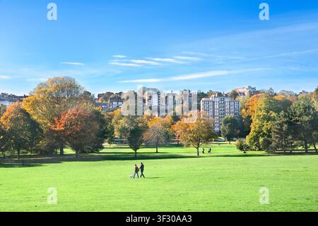 Sunshine and autumn colour in Preston Park, Brighton and Hove's first and largest public park. Green Flag award status. East Sussex, England UK Parks Stock Photo