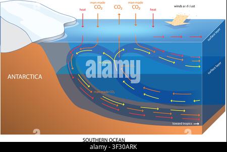 illustration of Southern Ocean Carbon and Heat Circulation Diagram Stock Vector