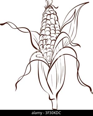 Corn bundle vector illustration black and white fine line drawing, harvest botanical design for farm branding, food packaging and bakery products Stock Vector