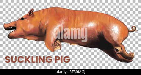 detail illustration of suckling pig Stock Vector