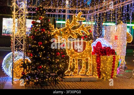 Illuminated Christmas deer at night. Decoration for Christmas and New Years holidays in a city park Stock Photo