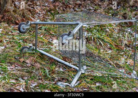 Abandoned metal shopping cart lying overturned on dry grass and fallen leaves in a park area, symbolizing urban decay, littering, and environmental po Stock Photo