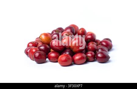 Ripe Red Coffee Cherries Pile Isolated on White Background Stock Photo
