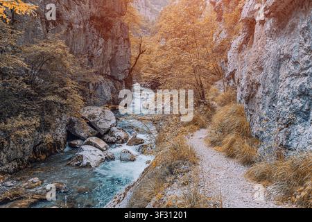 Autumn colored trees and bushes lining a winding hiking path alongside a rapid river, inside a rocky canyon Stock Photo