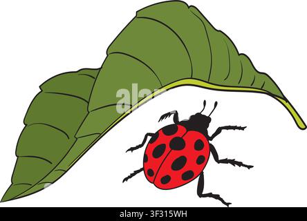 Ladybug on Green Leaf Illustration Stock Vector