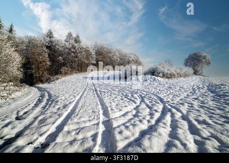 A large snowy white meadow surrounded by frozen icy hoarfrost trees against a blue cloudy sunny sky on a winter day Stock Photo