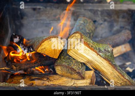 Burning Firewood Logs in an Outdoor Fire Pit. Split firewood logs burning with orange flames and drifting smoke in an outdoor fire pit. Stock Photo